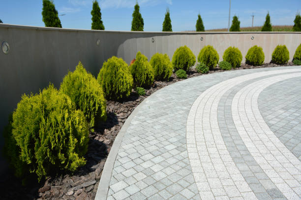 Best Commercial Driveway Pavers  in Aspen, CO
